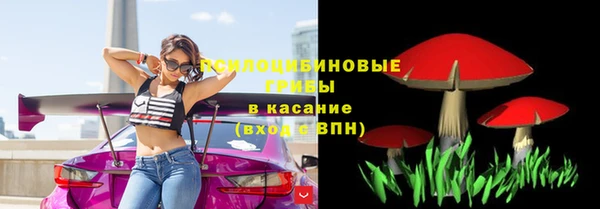 spice Алексеевка