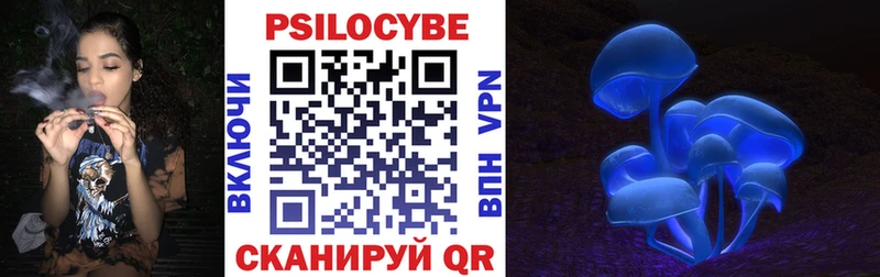 наркотики площадка Telegram Галлюциногенные грибы ЛСД Вологда